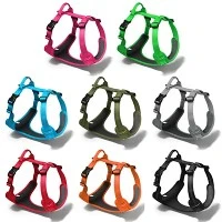 Harness Anjing Label Pribadi