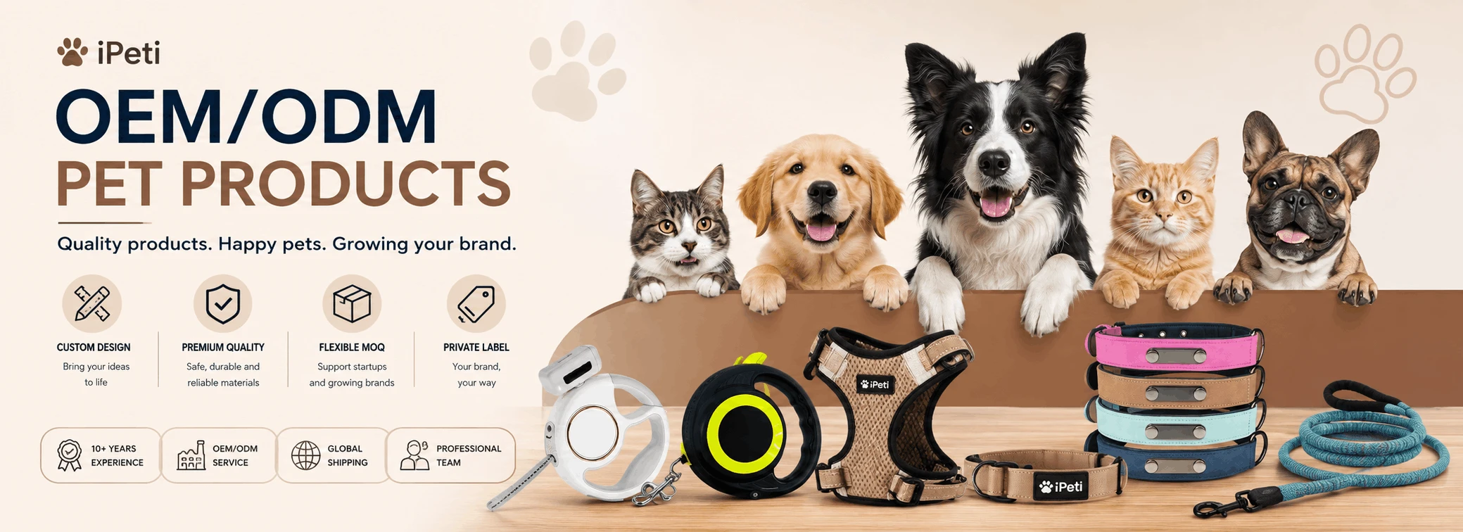 dog accessories