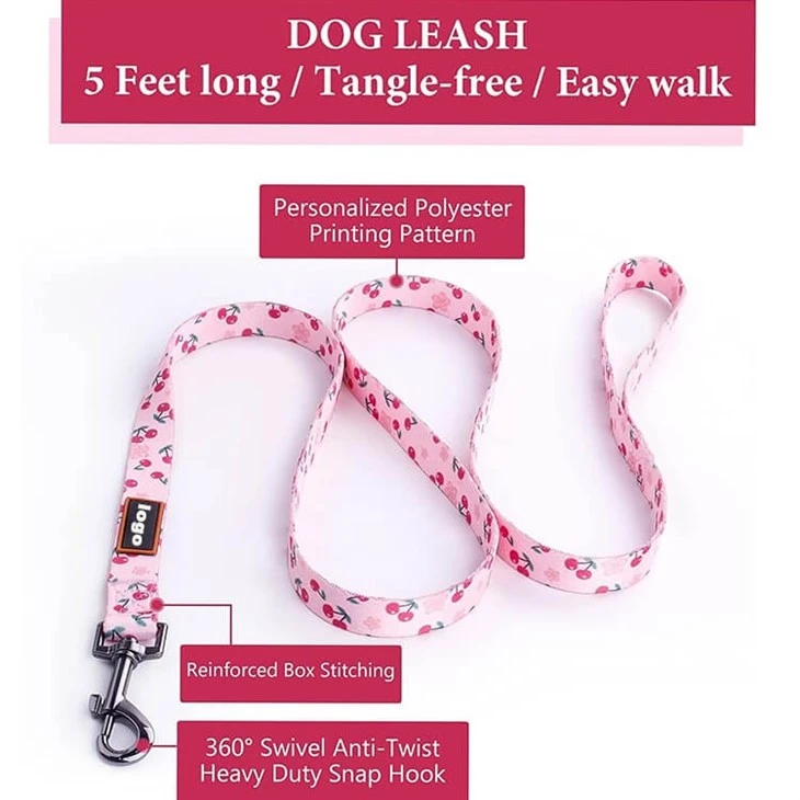 Personalized Dog Harness And Leash Set factory